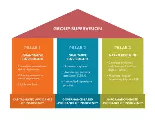 The illustration shows how group supervision is broken down into the 3 pillars.