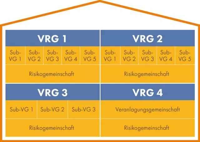 Die Grafik beschreibt, dass eine Pensionskasse mehrere Veranlagungs- und Risikogemeinschaften (VRG) verwalten kann.